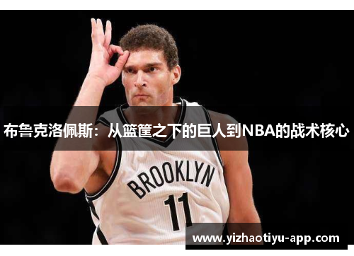 布鲁克洛佩斯：从篮筐之下的巨人到NBA的战术核心